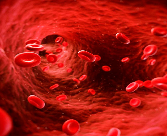 Enfermedades de la Microcirculación